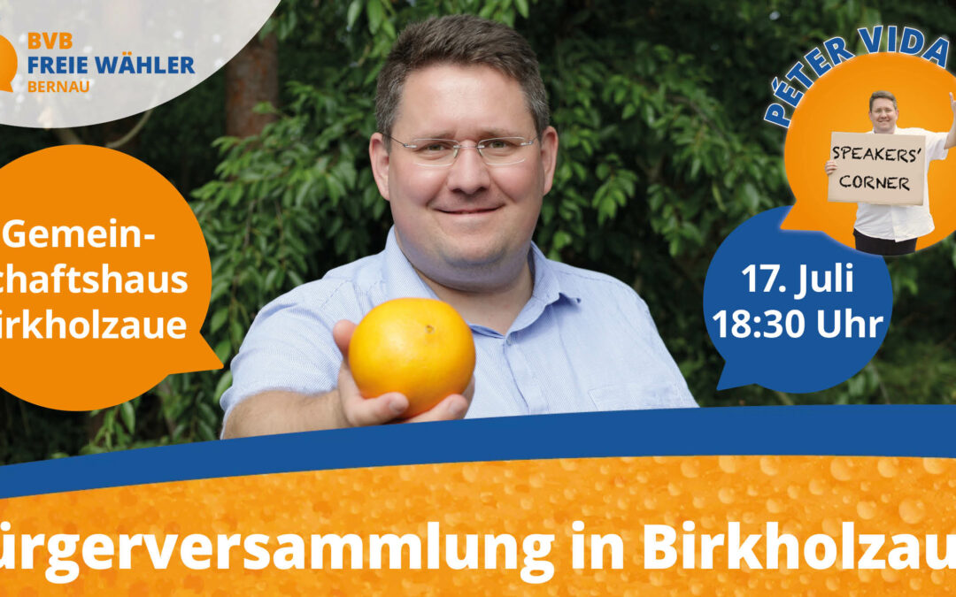 Einladung zur Bürgerversammlung mit Péter Vida am 17. Juli in Birkholzaue!