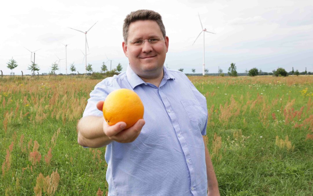 Erfolg für die Anwohner: Eine geplante Windkraftanlage in Börnicke fällt weg!